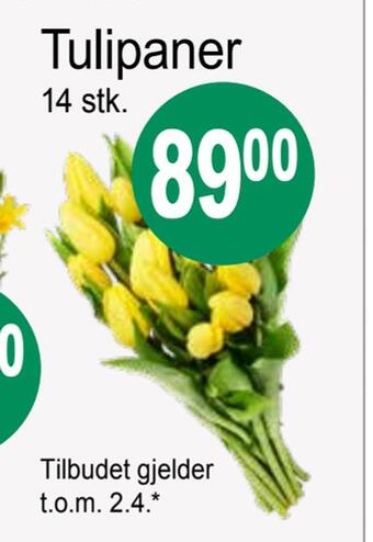 Joker Tulipaner tilbud