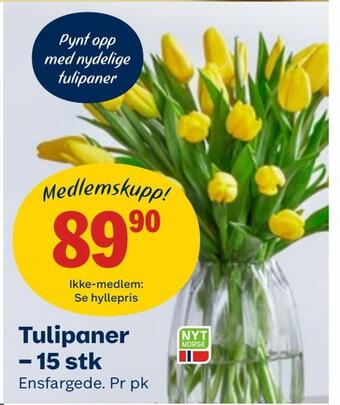 Coop Obs Tulipaner - 15 stk tilbud