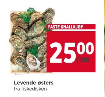 Meny Levende østers tilbud
