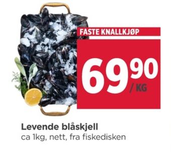 Meny Ukjent blåskjell tilbud