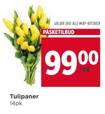 Meny Tulipaner tilbud