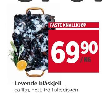 Meny Levende blåskjell tilbud