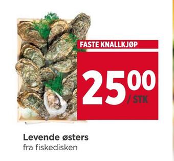 Meny Levende østers tilbud
