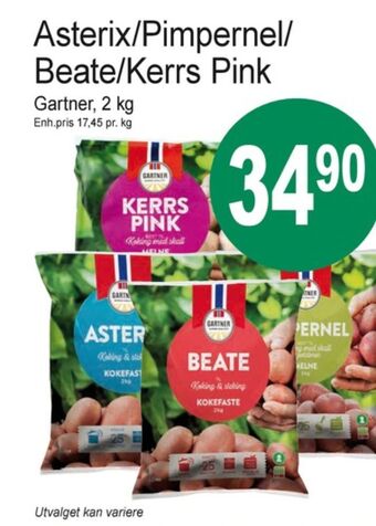 Joker Gartner poteter tilbud