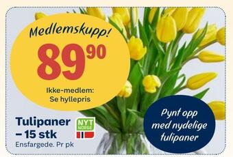 Coop Mega Tulipaner - 15 stk tilbud