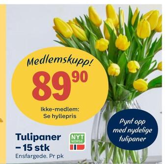 Coop Obs Tulipaner - 15 stk tilbud