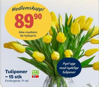 Coop Extra Tulipaner - 15 stk tilbud