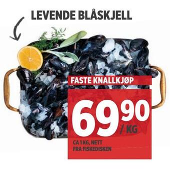 Meny Levende blåskjell tilbud