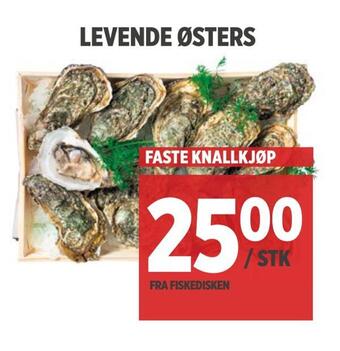 Meny Levende østers tilbud