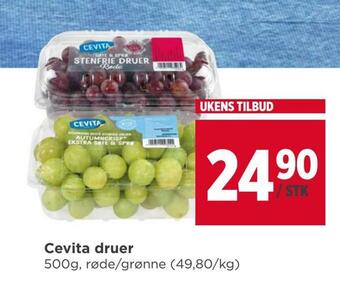 Meny Cevita druer tilbud