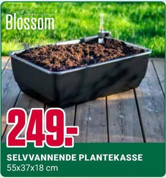 Europris Selvvannende plantekasse tilbud