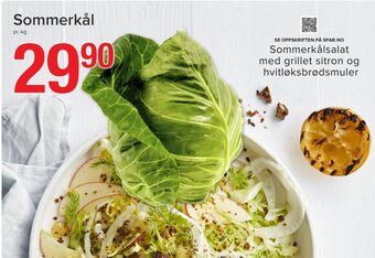 Spar Sommerkål tilbud