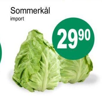 Joker Sommerkål tilbud