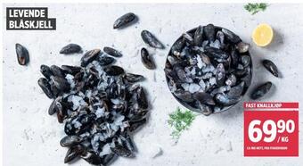 Jacobs Levende blåskjell tilbud