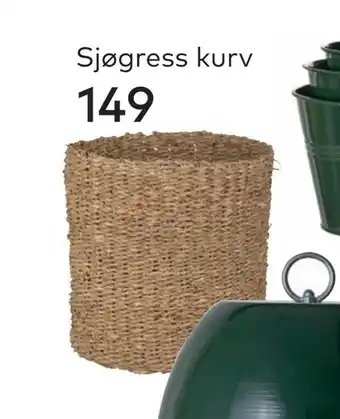 Skeidar Sjøgress kurv tilbud