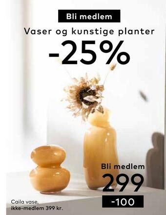 Skeidar Caila vase tilbud