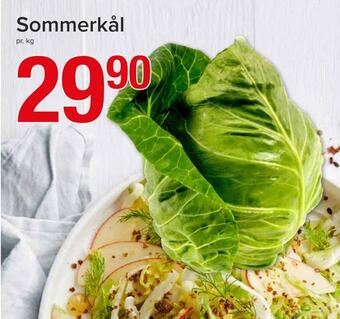 Spar Sommerkål tilbud