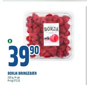 Borja bringebær