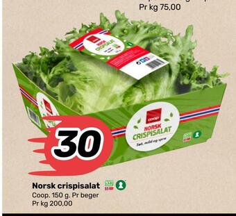 Matkroken Norsk crispisalat tilbud