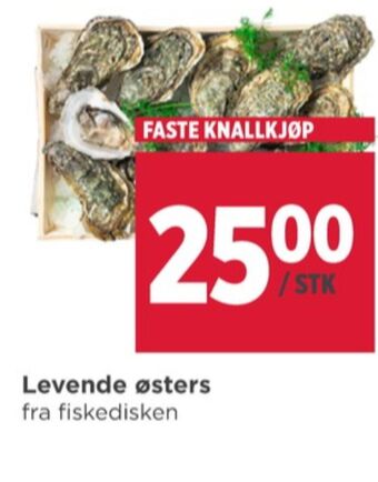 Meny Ukjent østers tilbud