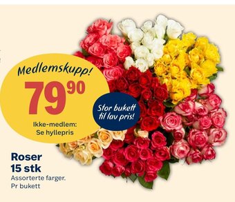 Coop Extra Roser 15 stk Assorterte farger. Pr bukett tilbud