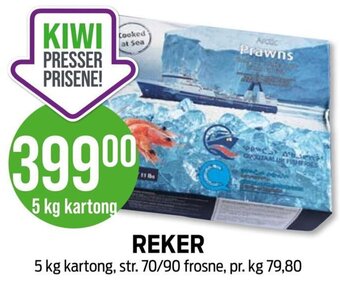 Kiwi REKER tilbud