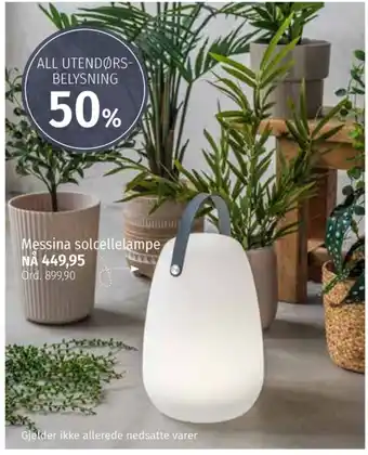 Nille Ukjent solcellelampe tilbud