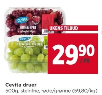 Meny Cevita druer tilbud