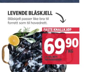 Meny Ukjent blåskjell tilbud