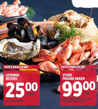 Meny Ukjent østers tilbud