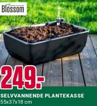 Europris SELVVANNENDE PLANTEKASSE 55x37x18 cm tilbud