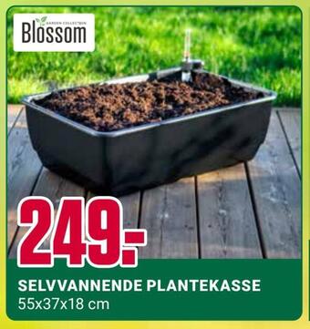 Europris Selvvannende plantekasse tilbud