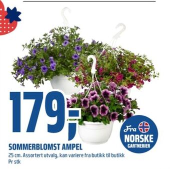 Coop Obs Ukjent plante tilbud