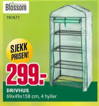 Europris Blossom drivhus tilbud