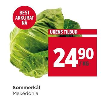 Meny Sommerkål tilbud