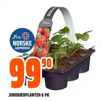 Obs Bygg Jordbærplanter 6 pk tilbud