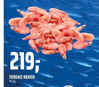 Coop Obs Ferske reker tilbud