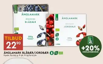 Coop Mega Änglamark blåbær/jordbær tilbud