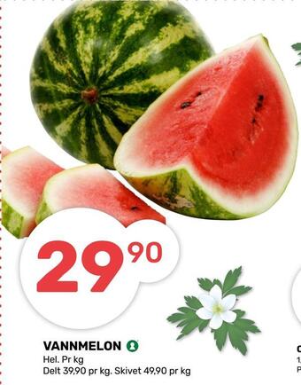 Matkroken Vannmelon tilbud