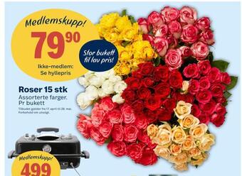 Matkroken Roser 15 stk tilbud
