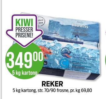 Kiwi Reker tilbud