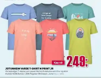 Sport 1 JOTUNHEIM VARDE T-SHIRT M PRINT JR tilbud