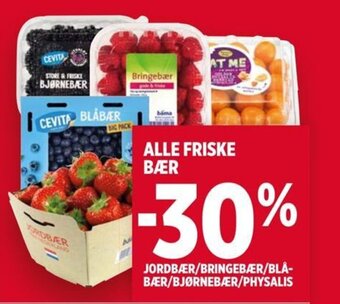 Meny ALLE FRISKE BÆR JORDBÆR/BRINGEBÆR/BLÅ-BÆR/BJØRNEBÆR/PHYSALIS tilbud