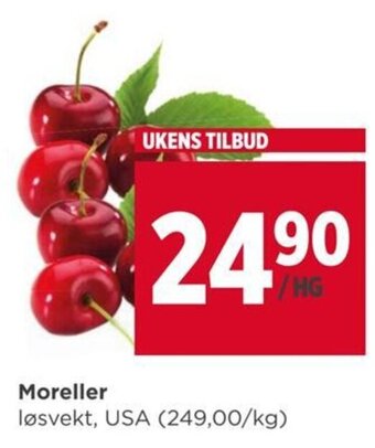 Meny Moreller tilbud