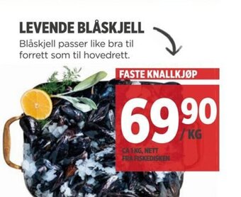 Meny LEVENDE BLÅSKJELL tilbud
