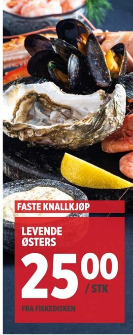 Meny LEVENDE ØSTERS tilbud
