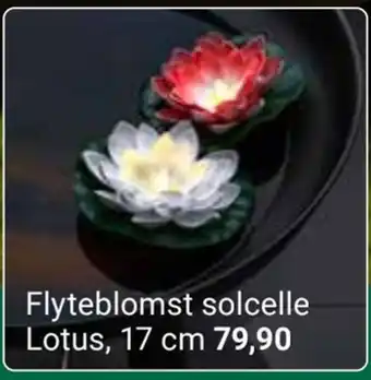 Europris Flyteblomst solcelle lotus, 17 cm tilbud