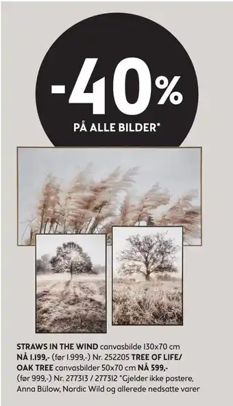 Bohus -40% på alle bilder tilbud
