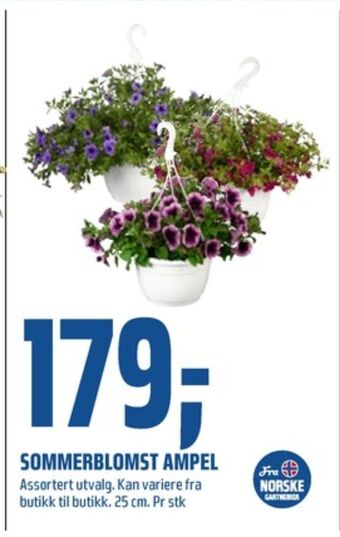 Coop Obs Ukjent plante tilbud