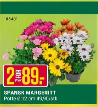 Europris Ukjent plante tilbud